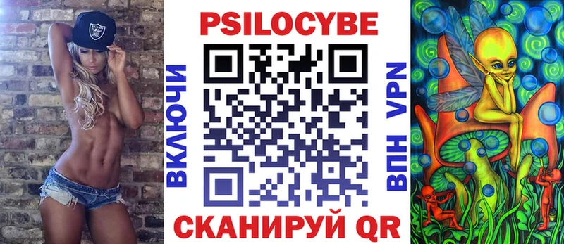 закладки  Серафимович  Псилоцибиновые грибы Magic Shrooms 