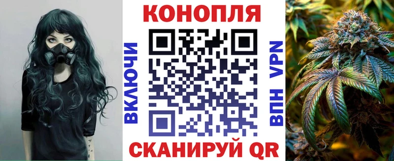 Бошки Шишки сатива  MEGA зеркало  Серафимович  купить закладку 
